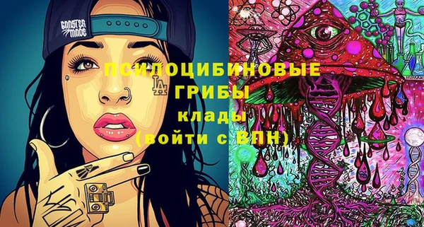 MDMA Медвежьегорск