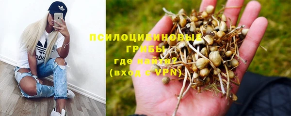 гашик Магадан