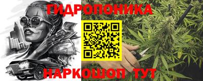 прущие крисы Северобайкальск