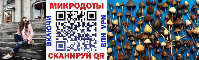 Галлюциногенные грибы мухоморы Туапсе