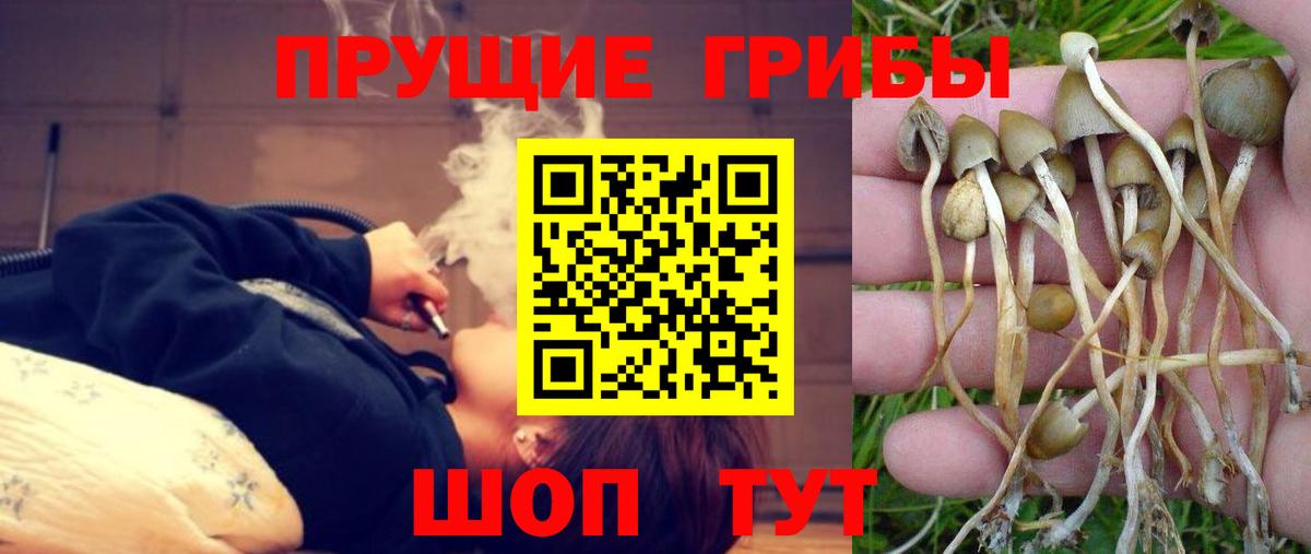 Туапсе  цена   Галлюциногенные грибы мухоморы  Вход с VPN  Псилоцибиновые грибы Magic Shrooms 